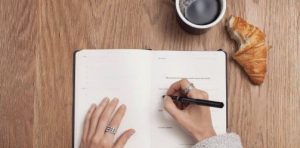 manifestacija ciljev